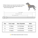 Personalized Dog Collar Waterproof Nylon Puppy Collars Necklace Free Custom Pet ID Collars for Small Medium Dogs Chihuahua Pug