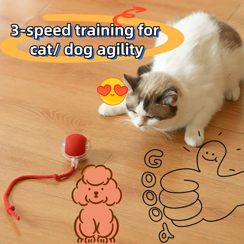 3 Speed USB Rechargeable Interactive Cat Accessories Ball Automatic Electric Rolling Ball Toy Cats Pets Smart Low Noise Cat Toys