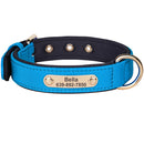 Personalized Dog Collar Waterproof Nylon Puppy Collars Necklace Free Custom Pet ID Collars for Small Medium Dogs Chihuahua Pug