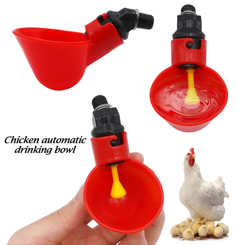 2 Pcs Automatic Chicken Fowl Bowl, Duck Goose Quail Water Feeder, Poultry Hen Coop Waterer Drinking Cups Easy Installation