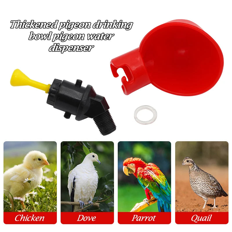 2 Pcs Automatic Chicken Fowl Bowl, Duck Goose Quail Water Feeder, Poultry Hen Coop Waterer Drinking Cups Easy Installation