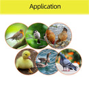 Egg Incubator Automatic Turning Tray 56 154 Bird Eggs Duck Chicken Eggs Hatching Machine 220V Incubator Trays Auto Turn Motor