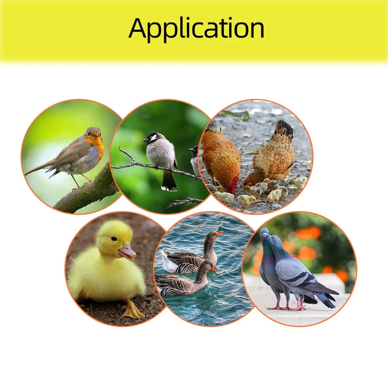 Egg Incubator Automatic Turning Tray 56 154 Bird Eggs Duck Chicken Eggs Hatching Machine 220V Incubator Trays Auto Turn Motor