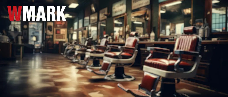 WMARK NG-XT1/ NG-X1 Hair Clippers Set,Magnetic levitation motor, high speed 9000rpm,Beard Trimmer,Hair Clipper for men,DLC Blade