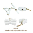 White Velvet Dog Collar And Leash Set For Small Medium Large Dogs Custom Engraved Nameplate Pet Supplies Dog Leash Velvet 38