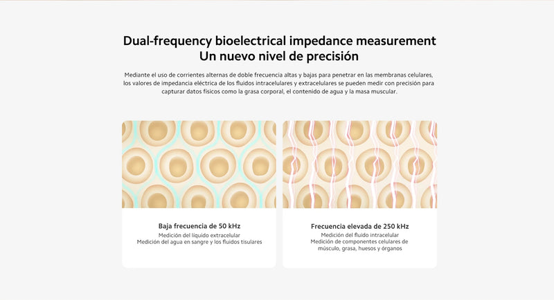 Báscula oficial Xiaomi Body Composition Scale S400, 25 indicadores de salud, medición de impedancia bioeléctrica de doble frecuencia