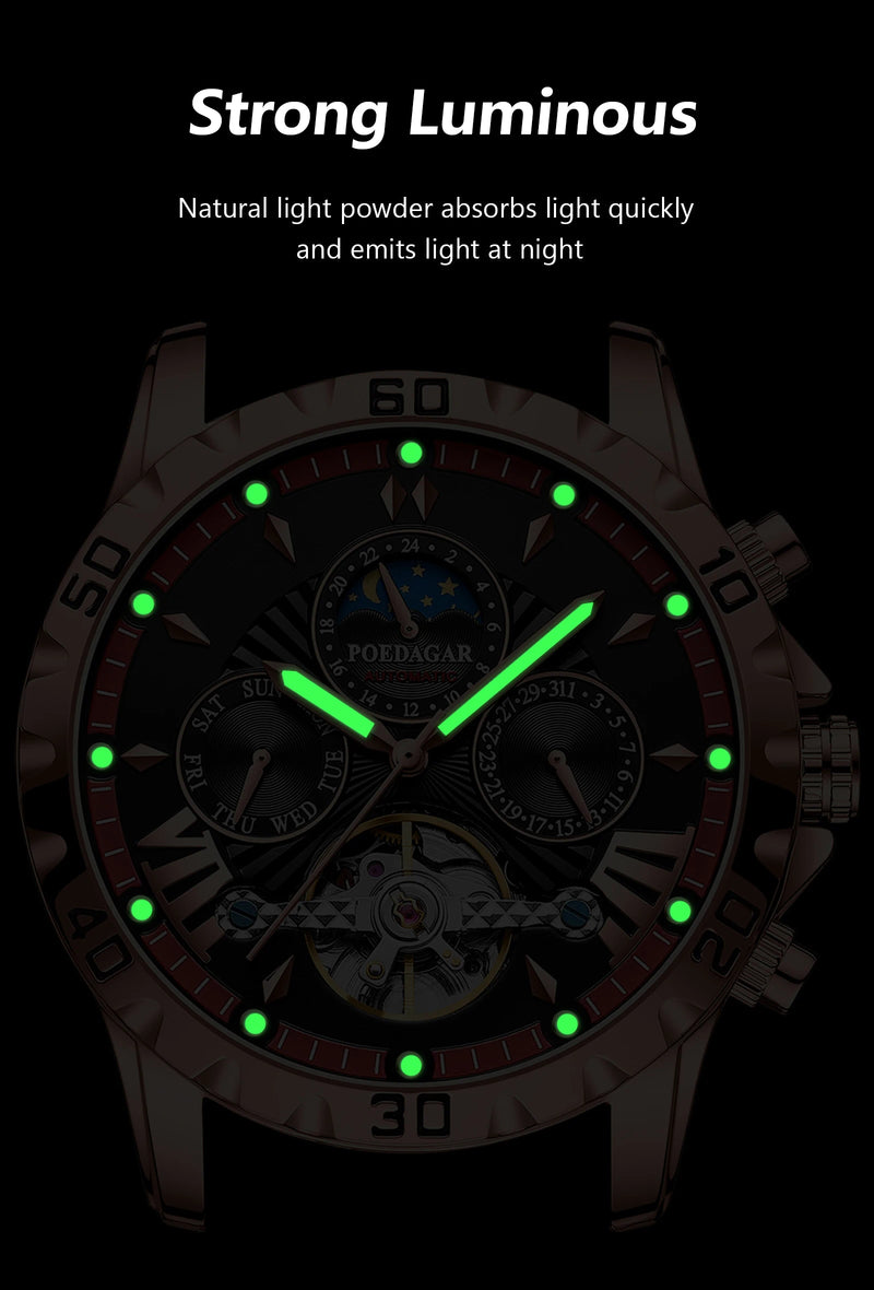 POEDAGAR Tourbillon Automatic Mechanical Wristwatch Waterproof Luminous Date Week Leather Men Watch Luxury Fashion Men's Watches