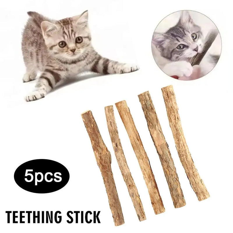 5pc Catnip Stick Pet Cat Molar All Natural Self-healing Polygonum Cleaning Toys Teeth Chews Suppli Boredom Wooden Snacks Re O0R2