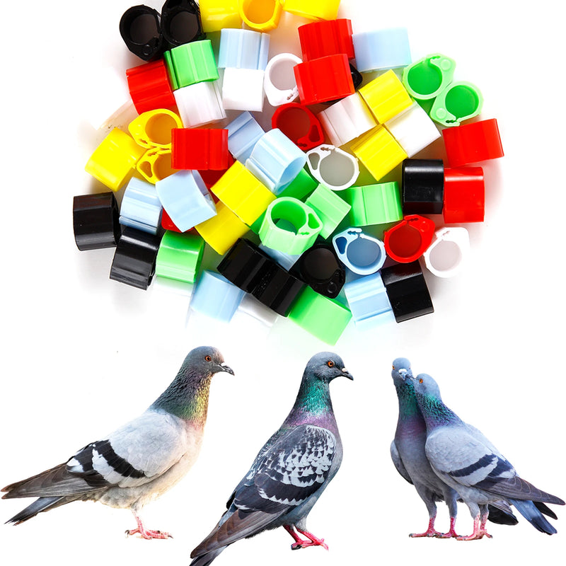 Simulation Pigeon Electronic Foot Ring ID8mm Electronic chips can be installed Racing Pigeon Outdoor Training Bird Accessories