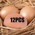 6/12Pcs Plastic Eggs Chicken House Small Fake Eggs Farm Animal Supplies Cages Accessories Guide Chicken Nest Egg Painting