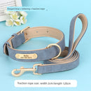 Medium-Sized Dog Jarre Aero Bull Corgi Double Layer Anti-Strangulation Dog Collar