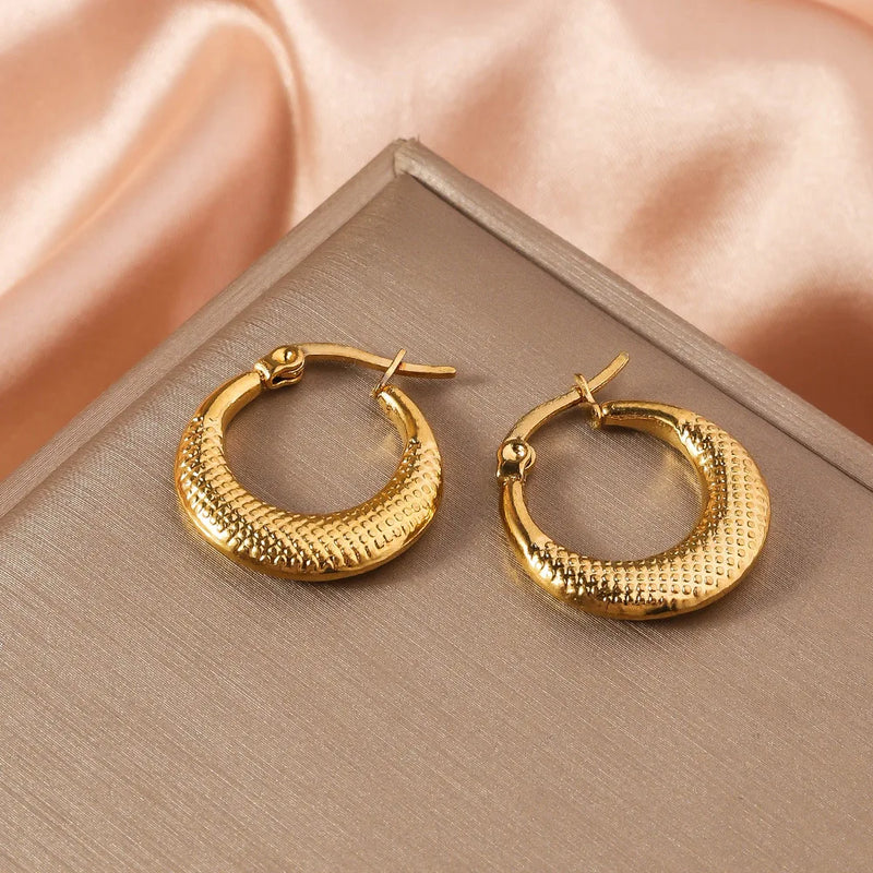Women's Embossed Stainless Steel Hoop Earrings, Electroplated Gold Color Non Fading Earrings, Exquisite Jewelry Accessories