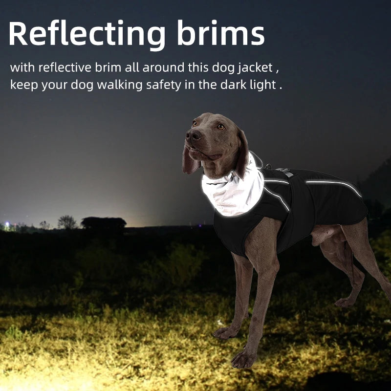Reflective Dog Clothes Jacket Waterproof Pet Coat Winter Warm Outdoor Dog Jackets With Velvet Medium Large Dogs Walking Clothing
