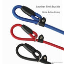 Cross-Border New Arrival Dog Rope Explosion-Proof P Chain Dog Walking Hand Holding Rope Anti Breaking Loose Dog Chain Medium Large Dog Dog Chain Dog Leash
