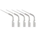 Dental Ultrasonic Scaler Tips Dental Endodontic Endo Tip fit EMS WOODPECKER Scaler Teeth Whitening Tools E1-E6