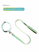 Dedicated P Chain Hand Holding Rope Lightweight Large Dog Dog Training