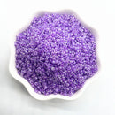 15g/lot 2mm 3mm 4mm Effect of The Cream Charm Czech Glass Seed Beads DIY Bracelet Necklace Beads for Jewelry Making Accessories