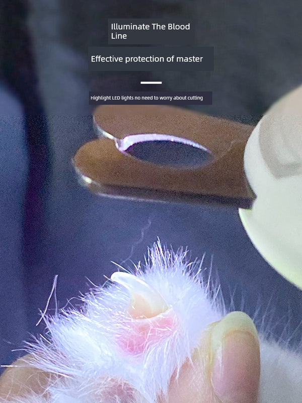Cat Nail Scissors Handy Gadget Dog Pet Special Nail Clippers Knife LED Light Blood Line Anti-Bleeding Novice Rabbit
