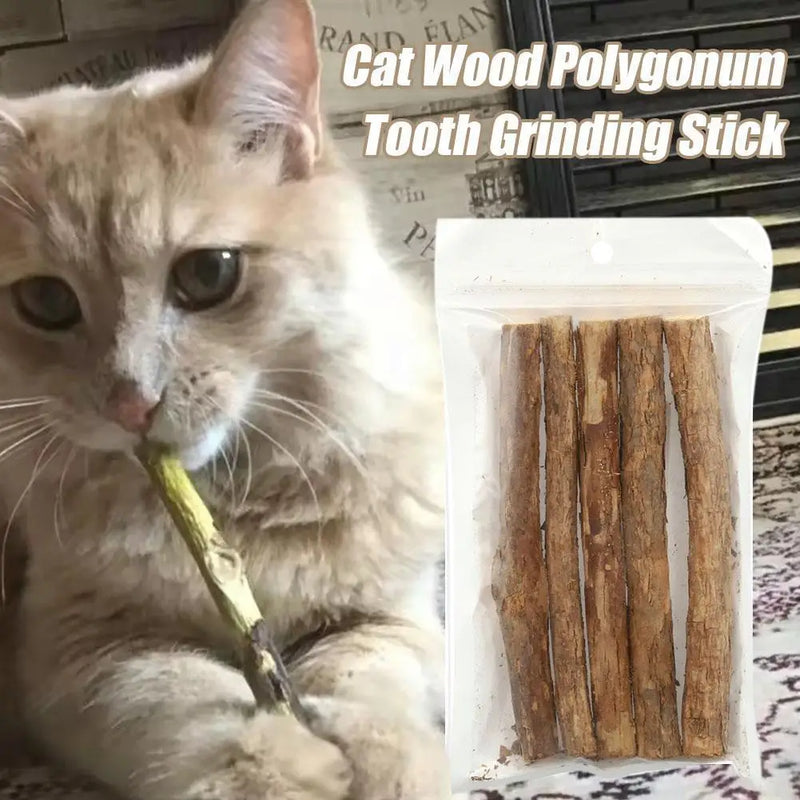 5pc Catnip Stick Pet Cat Molar All Natural Self-healing Polygonum Cleaning Toys Teeth Chews Suppli Boredom Wooden Snacks Re O0R2