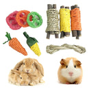 13ME 9 PCS Bunny Chew Toys Hamster Toys for guinea pigs Rabbits Squirrels Gerbils