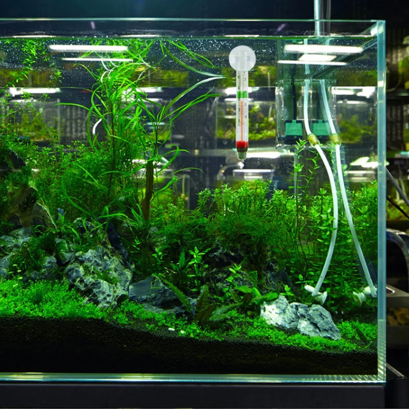 Floating Aquarium Thermometer Fish Tank Glass Temperature Measuring Tool With Suction Cup Fahrenheit Celsius Accessories 1pc