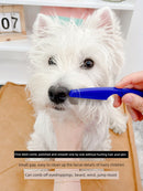 Mini CAT Combed Lice Dog