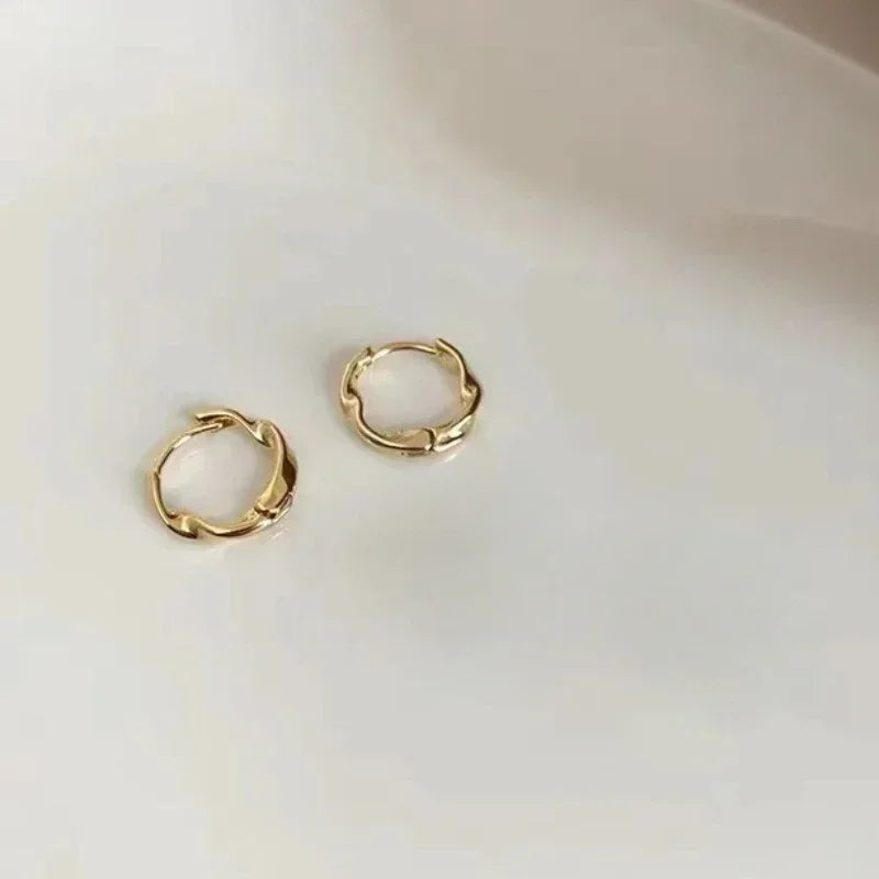 Trendy High-quality Twisted Hoop Earrings Geometric Metal Hip-hop Girl Minimalism Earrings Fashion Silver Color Designer Earring