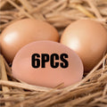 6/12Pcs Plastic Eggs Chicken House Small Fake Eggs Farm Animal Supplies Cages Accessories Guide Chicken Nest Egg Painting