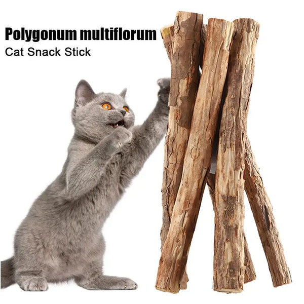 5pc Catnip Stick Pet Cat Molar All Natural Self-healing Polygonum Cleaning Toys Teeth Chews Suppli Boredom Wooden Snacks Re O0R2