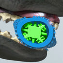 Dog Tooth Grinding Stick Food Grade Cleaning Massager Rubber Tooth Brush Chewing Toy Teeth Cleaning Pet with Slight Bite Force