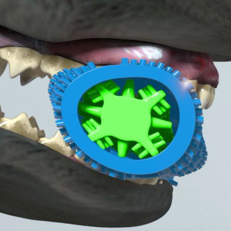 Dog Tooth Grinding Stick Food Grade Cleaning Massager Rubber Tooth Brush Chewing Toy Teeth Cleaning Pet with Slight Bite Force