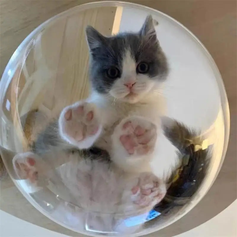 10/5/3/2/1pcs Dog Porthole Window Round Transparent Cat House Fence Pet Peek Look Out Durable Dome Acrylic Sheet Window DIY