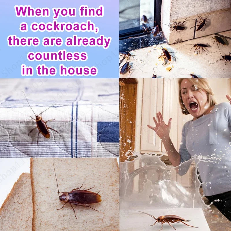 Eliminate cockroaches.