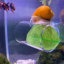 1pc Aquarium Betta Fish Acrylic Tube Small Tunnel/Hollow Design For Better Observation Of Betta Fish/Betta Fish Tank Decorations