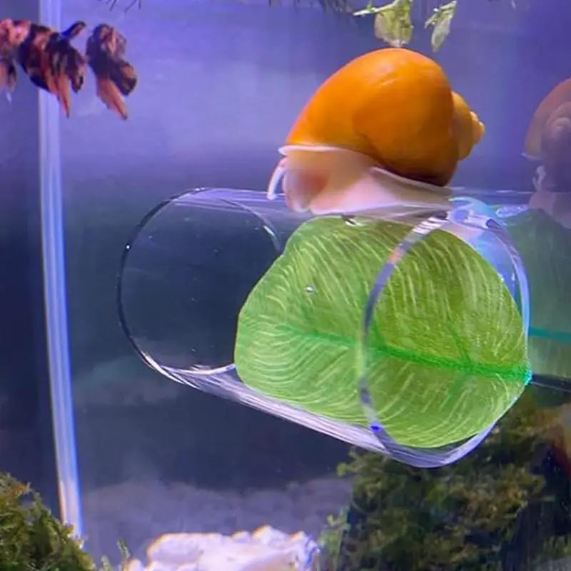 1pc Aquarium Betta Fish Acrylic Tube Small Tunnel/Hollow Design For Better Observation Of Betta Fish/Betta Fish Tank Decorations