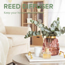 مجموعة PHATOIL من 6 قطع من الزيوت العطرية 10 مل من زيت اللافندر الطبيعي النقي وزيت الأوكالبتوس وزيت النعناع وزيت شجرة الشاي وزيت البرتقال وزيت الليمون لشموع التوزيع