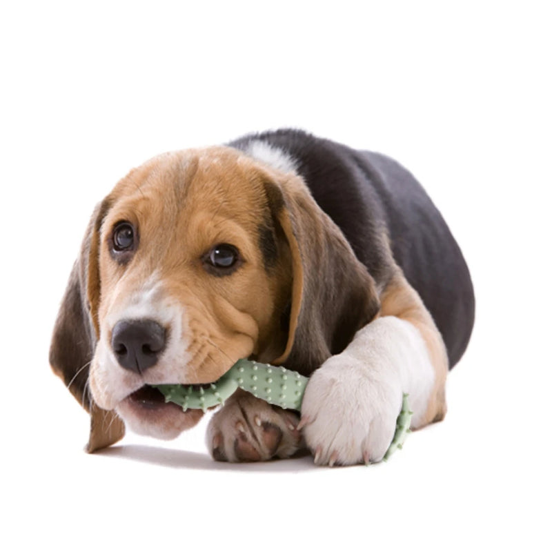 Pet Toys for Small Dogs Rubber Resistance To Bite Dog Toy Teeth Cleaning Chew Training Toys Pet Supplies Puppy Dogs Cats