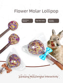 Rabbit Molar Lollipop Petal Molar Straw Ball Grass Cake Rabbit Guinea Pig Totoro Apple Branch Bite Wood Grinding Stick