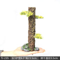 Simulation Tree Trunk Sinking Wood Driftwood Fish Tank Decorations aquatic plants Root Rainforest Forest Aquarium Accessories