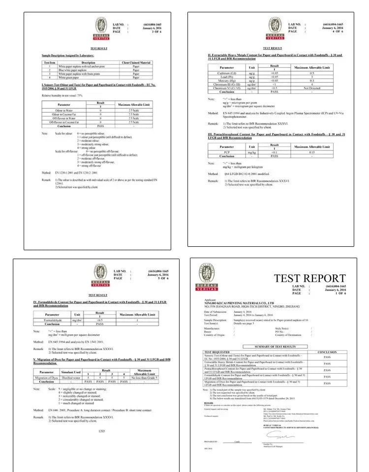 Chinese Style Printing Paper Napkins Colorful Napkins Wedding Pure Wood Pulp Paper Plum Flower 20 Sheets Food Grade 2Ply 33*33cm