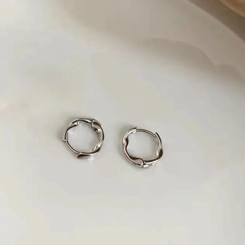 Trendy High-quality Twisted Hoop Earrings Geometric Metal Hip-hop Girl Minimalism Earrings Fashion Silver Color Designer Earring