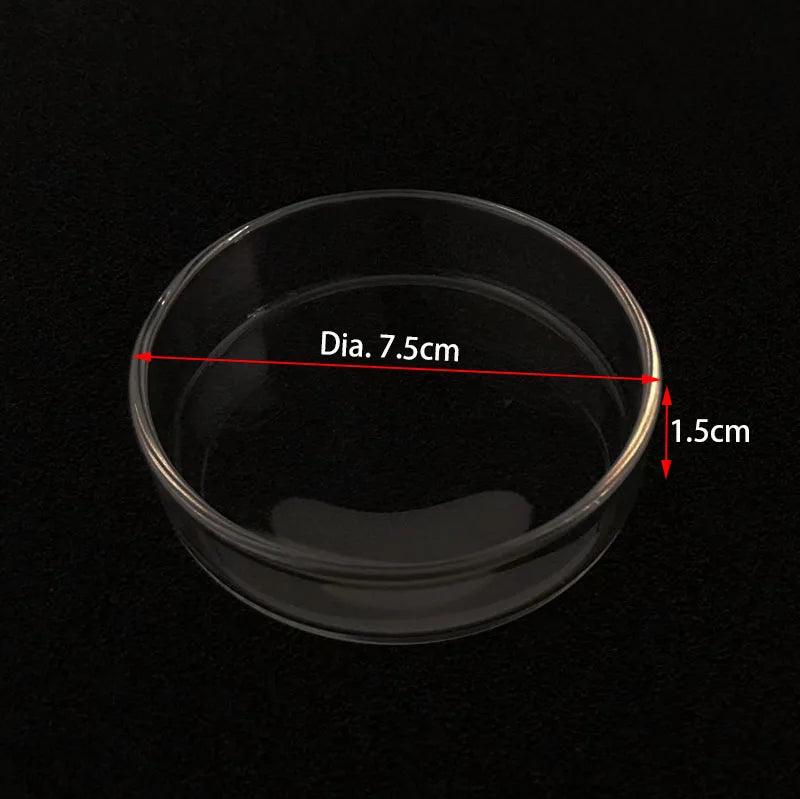 Transparent Aquarium Fish Tank Shrimp Food Feeding Circle Glass Feeder Floating Bottom Feeder Fish Shrimp