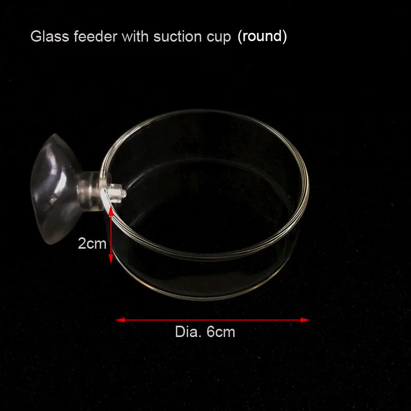 Transparent Aquarium Fish Tank Shrimp Food Feeding Circle Glass Feeder Floating Bottom Feeder Fish Shrimp