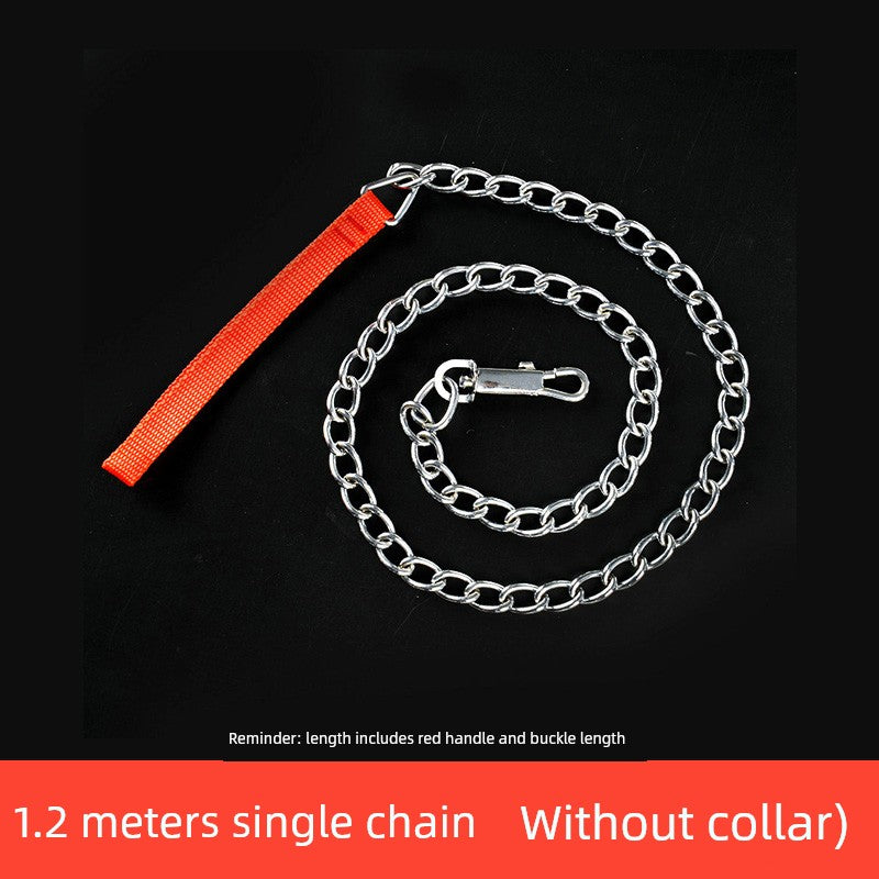 Iron Chain Teddy/Golden Retriever Medium Collar Dog Hand Holding Rope