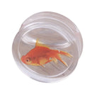 2Pcs Acrylic Liquid Goldfish Ear Plug Double Flared Saddle Flesh Tunnel Gauge Stretcher 8mm-18mm