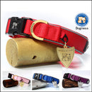 Donis Collar Pet Supplies Dog Harness Dog Collar Large Dog Golden Retriever Collar Small Size Dogs Teddy Collar