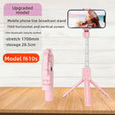 Mini portable selfie device with Bluetooth remote control