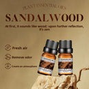 Home Humidifier Aromatherapy Diffuser Stone Essential Oil