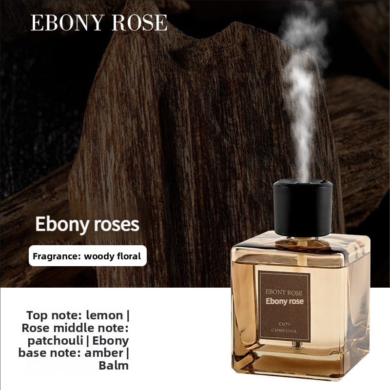 Home Fragrance Diffuser with 10 Scents