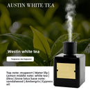 Home Fragrance Diffuser with 10 Scents